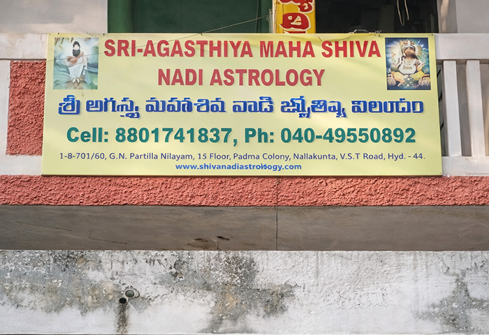 Agasthiya Nadi Olai Chuvadi Palm Leaves